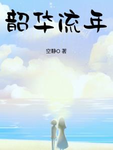 韶华流年成追忆小说
